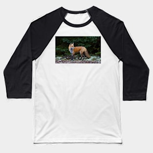 Red Fox - Algonquin Park, Canada Baseball T-Shirt